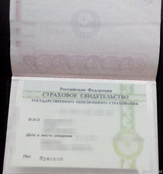 прописка в Кохме